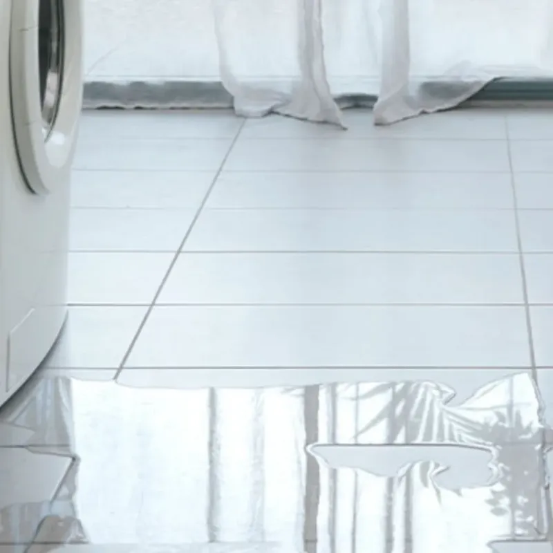 Appliance Leak Cleanup in Gig Harbor, WA