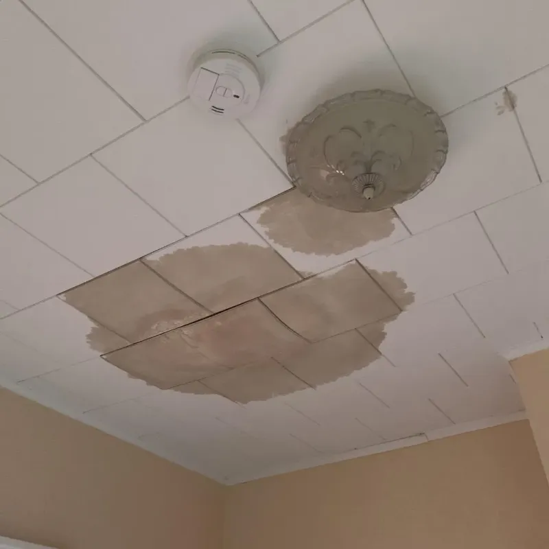 Ceiling Water Damage Repair in Gig Harbor, WA
