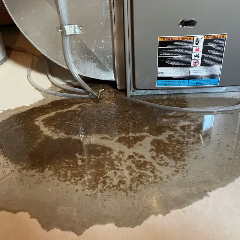 Pipe Burst and Leak Restoration in Gig Harbor, WA