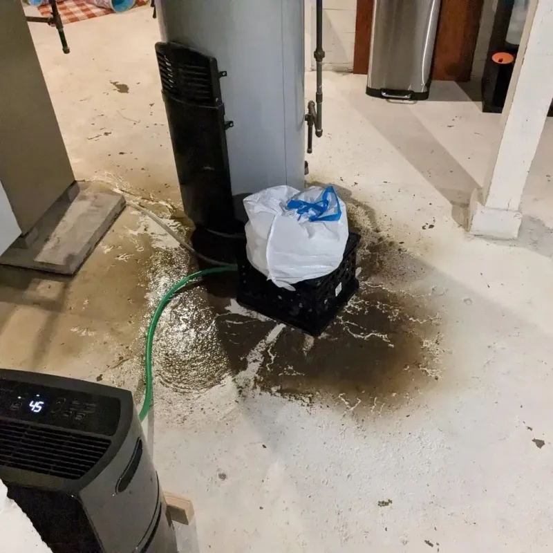 Sewage Backup Cleanup Service in Gig Harbor, WA